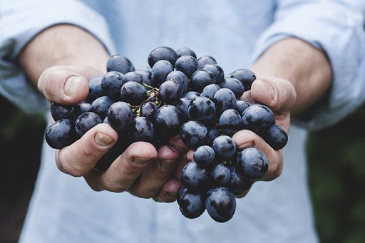 Top 12 Health Benefits of Eating Grapes