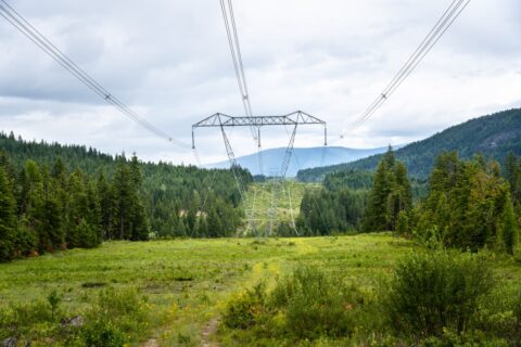 Overstory snags $14M Series A to use AI to help utilities cut their wildfire risk