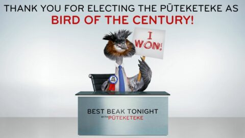 ‘Bird of the Century’ crowned after ‘alarmingly aggressive’ campaign from John Oliver
