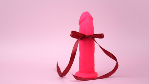 Cyber Monday sex toy deals: 50% off Adam & Eve