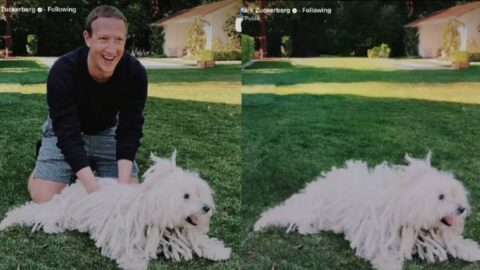 Meta’s new AI tool will let you add a dog into every picture
