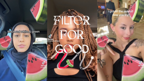 What is TikTok’s watermelon ‘Filter for Good’?