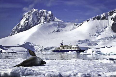 19 Best Things to Do in Antarctica In 2024