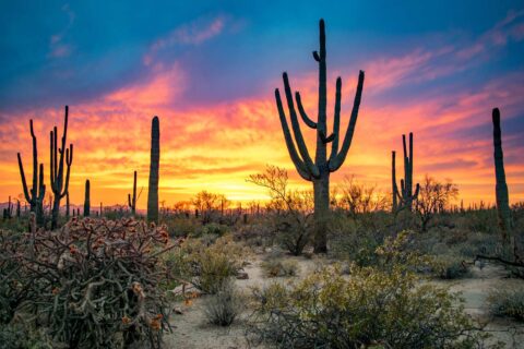 26 Stunning Places to Visit in Arizona That We Love