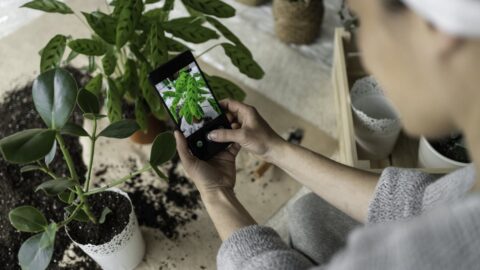 Become a plant expert with this iOS app for $15