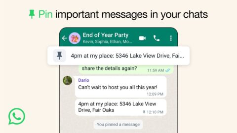 WhatsApp now lets you pin messages in individual and group chats