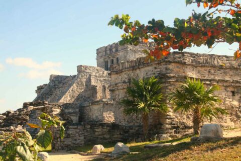 27 Best Things to Do in Tulum, Mexico In 2024