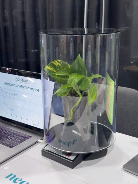 Neoplants shows off its Neo P1 bio-engineered air-purifying plant