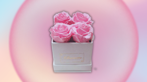 Get an eternal rose box for $29 shipped