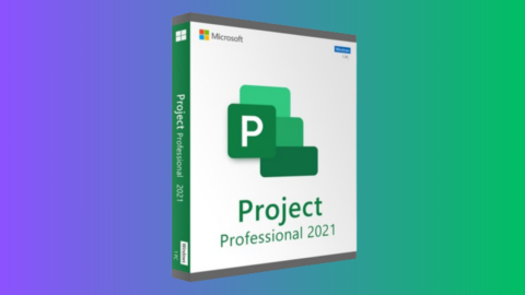 Get MS Project 2021 Professional for Just $30