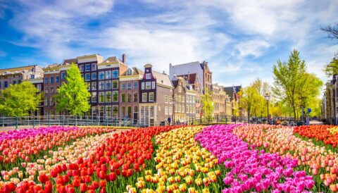 Where To Stay In Amsterdam In 2024: Our Favorite Places and Neighbourhoods