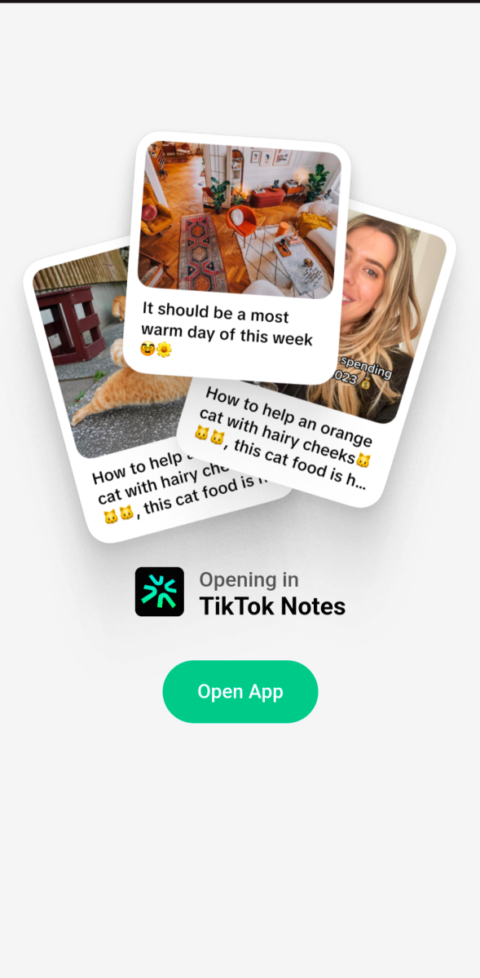 TikTok’s Instagram competitor likely to be named TikTok Notes