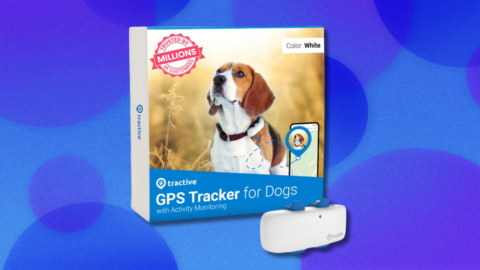 Best pet tracker deal: Save 40% off on the Tractive GPS