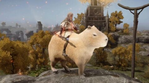 Elden Ring Mod Improves The Game By Adding Capybaras