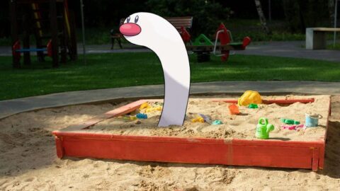 Fake Beaches Popping Up Online Blamed On Pokémon Go Players