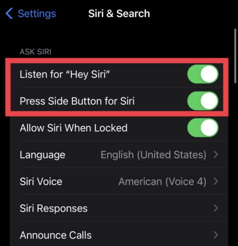 How to set up Siri on your iPhone