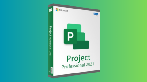 Score Microsoft Project Professional for £31.76