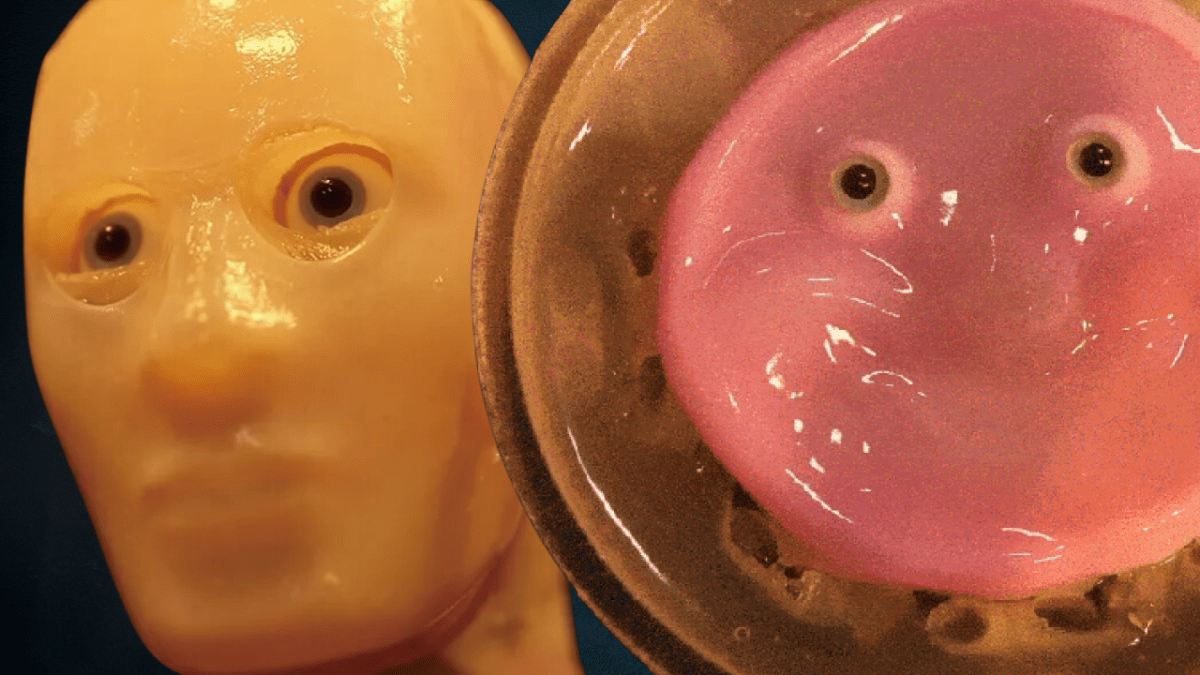 These robots with living skin are absolute nightmare fuel